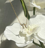 Gold Plated 925 Sterling Silver Zodiac Constellation Necklace