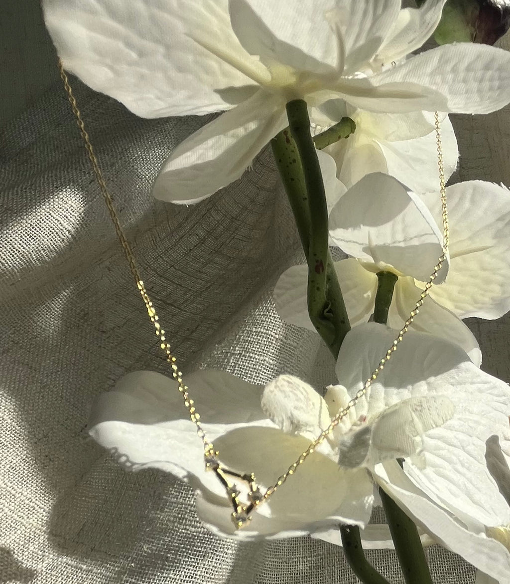 Gold Plated 925 Sterling Silver Zodiac Constellation Necklace