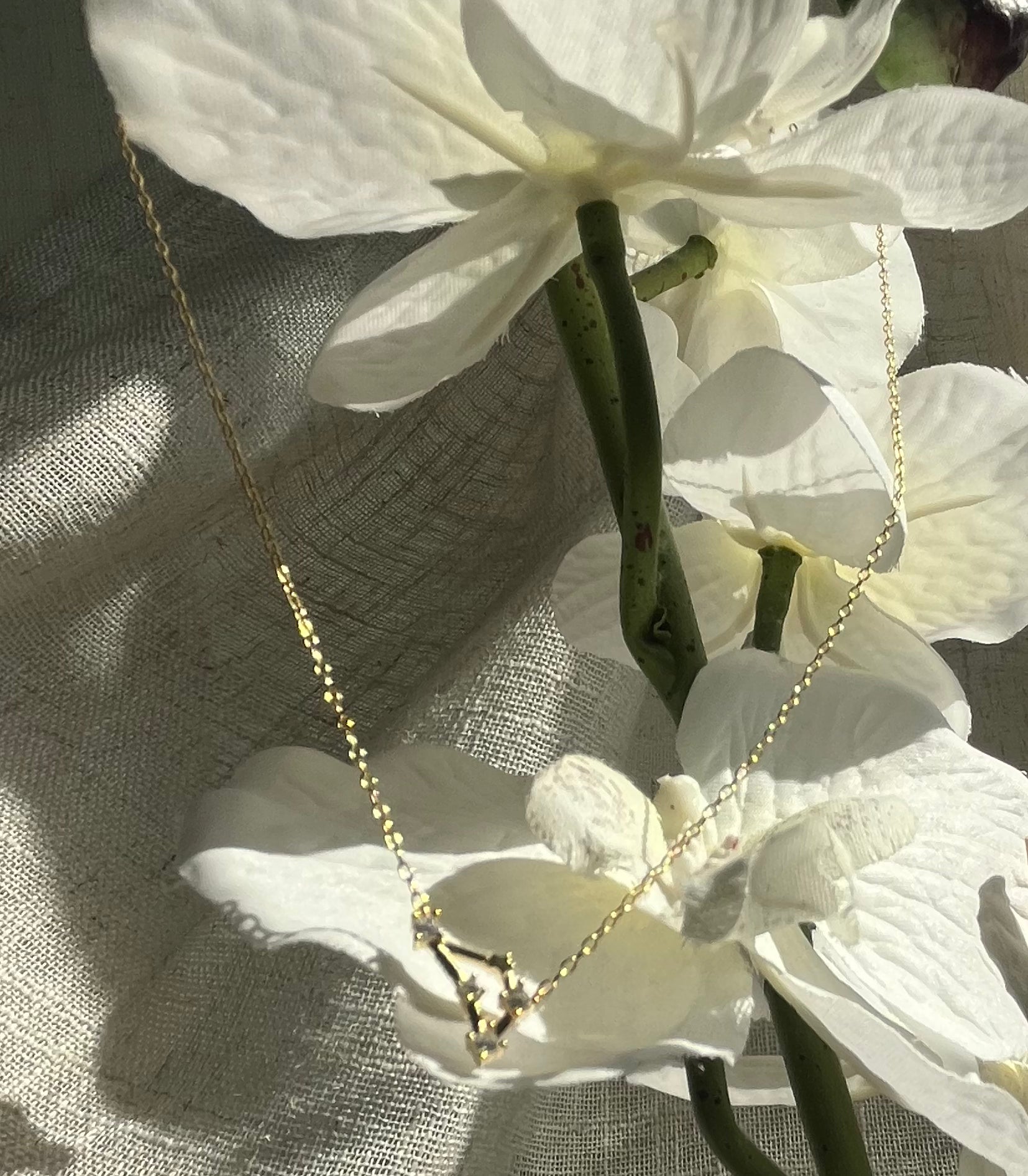 Gold Plated 925 Sterling Silver Zodiac Constellation Necklace